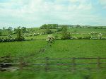 2006-0604-1514-13.jpg